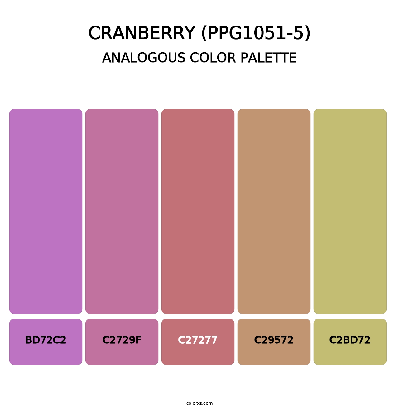 Cranberry (PPG1051-5) - Analogous Color Palette