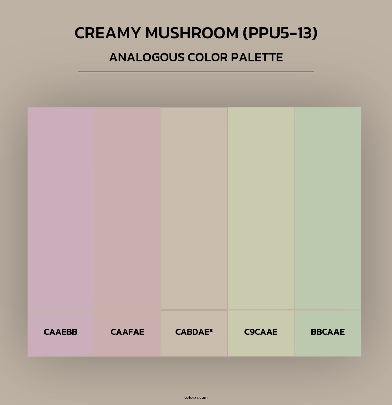 Creamy Mushroom (PPU5-13) - Analogous Color Palette