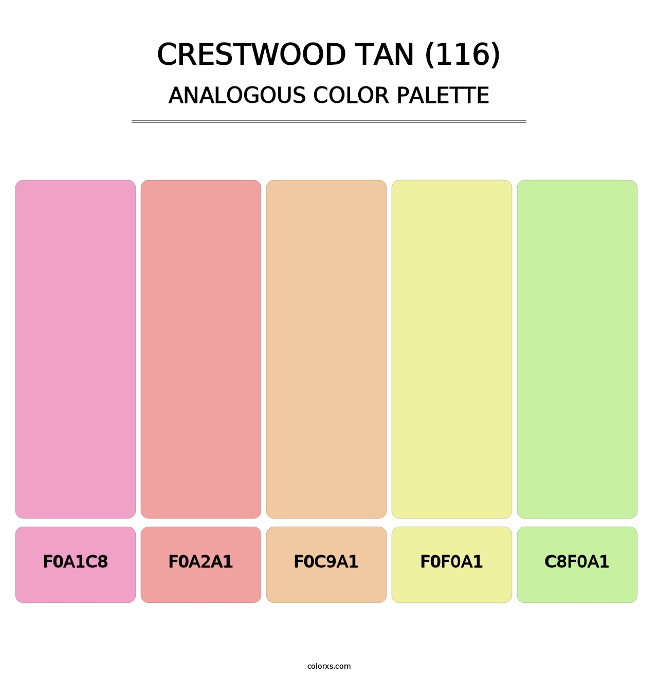 Crestwood Tan (116) - Analogous Color Palette