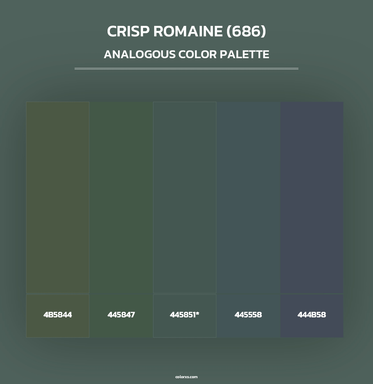 Crisp Romaine (686) - Analogous Color Palette