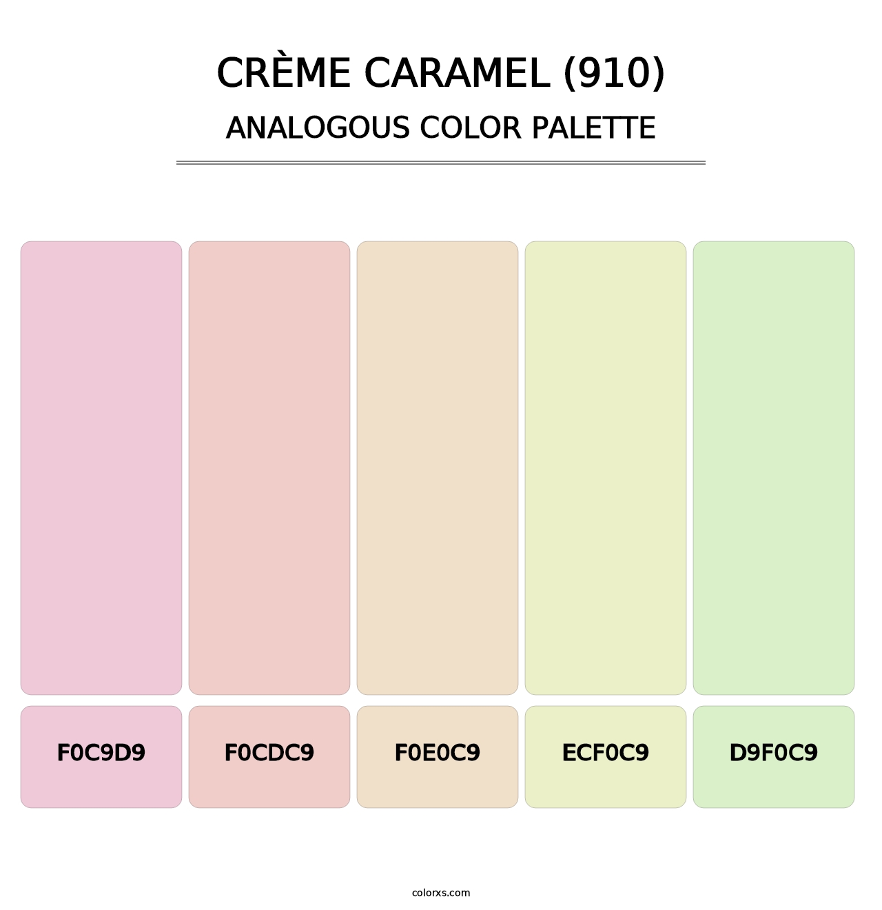Crème Caramel (910) - Analogous Color Palette