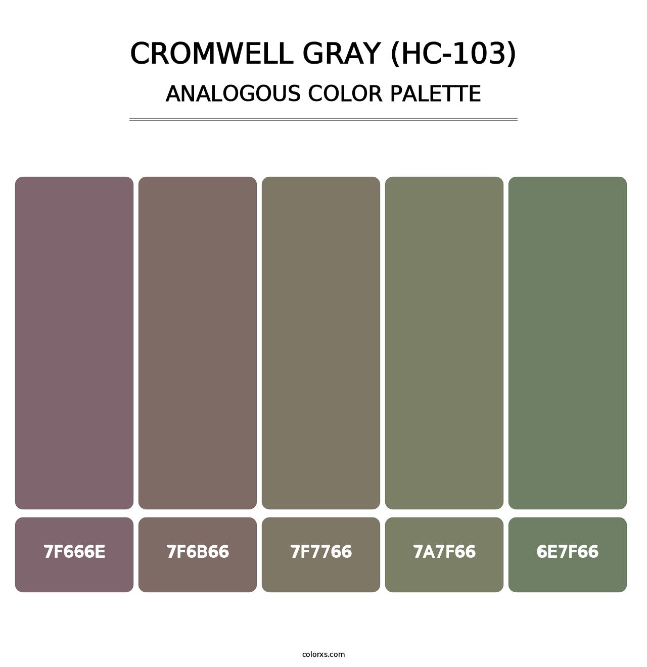 Cromwell Gray (HC-103) - Analogous Color Palette