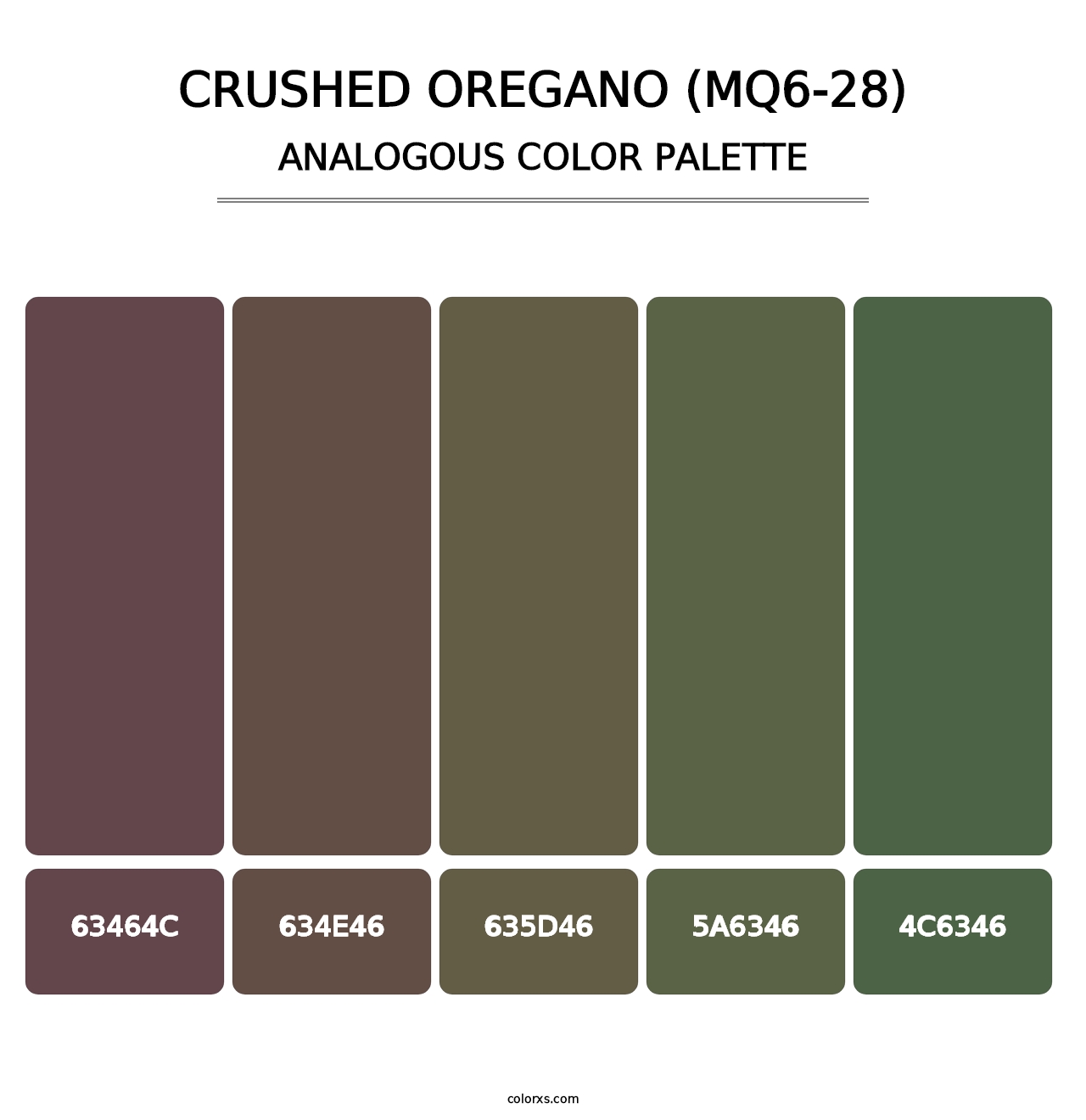 Crushed Oregano (MQ6-28) - Analogous Color Palette
