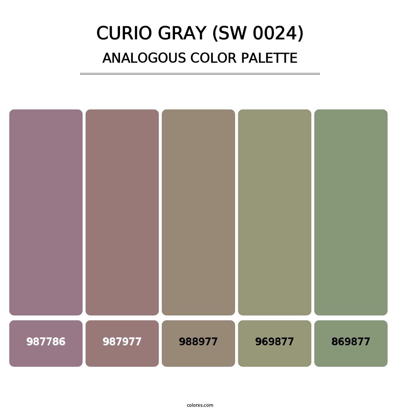 Curio Gray (SW 0024) - Analogous Color Palette