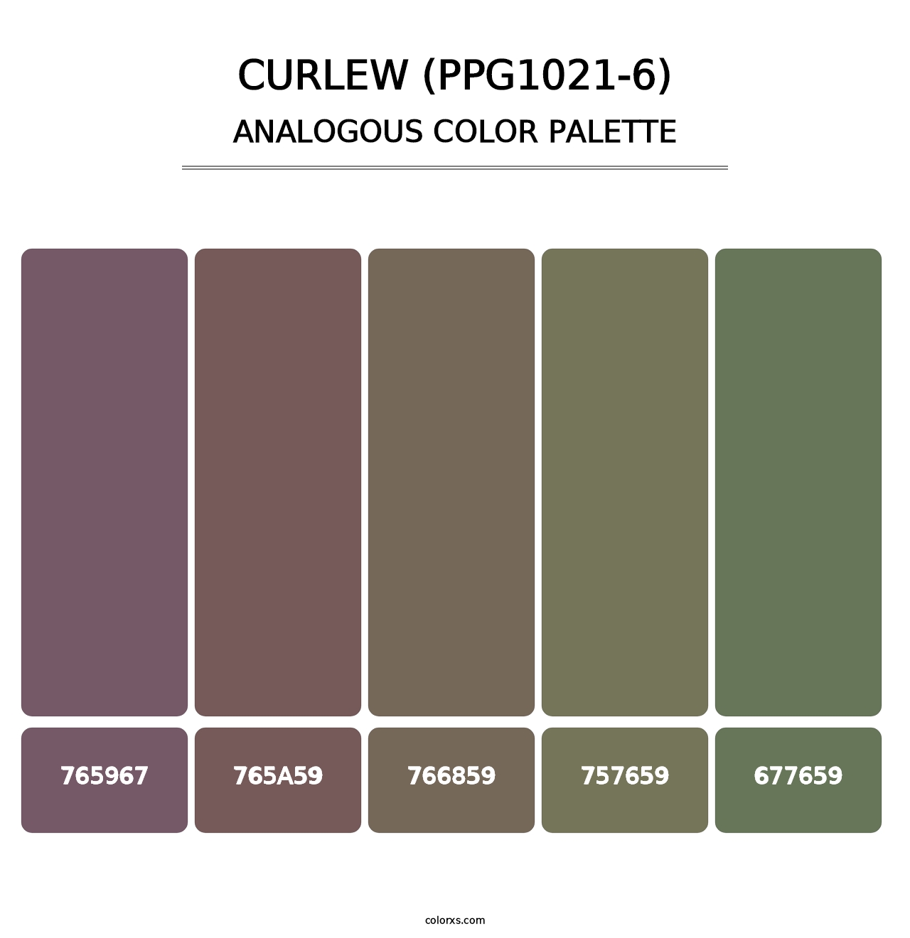 Curlew (PPG1021-6) - Analogous Color Palette