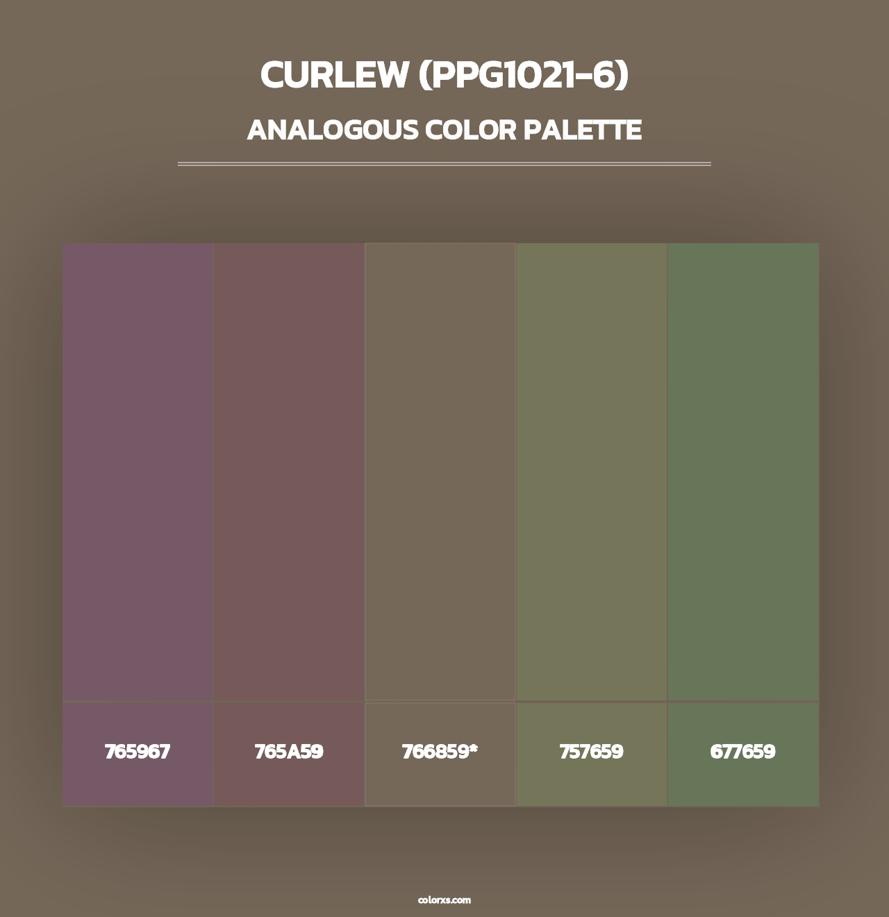 Curlew (PPG1021-6) - Analogous Color Palette