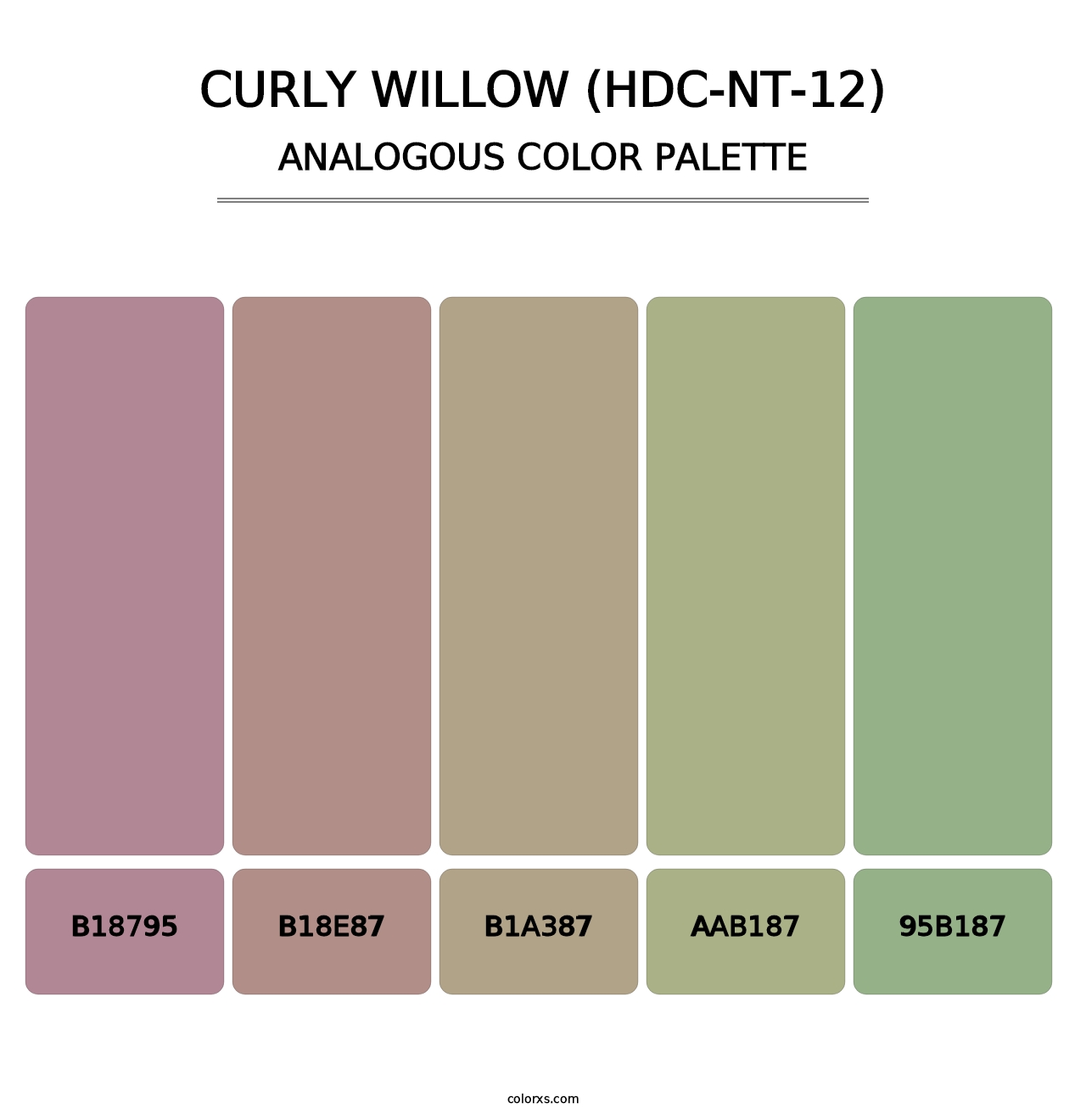 Curly Willow (HDC-NT-12) - Analogous Color Palette