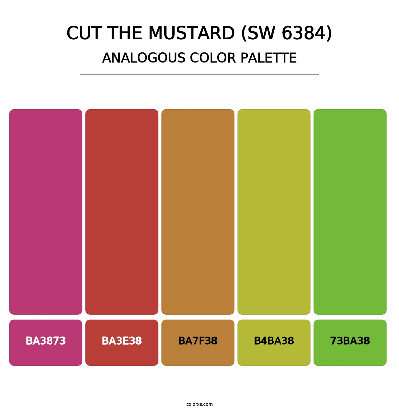 Cut the Mustard (SW 6384) - Analogous Color Palette