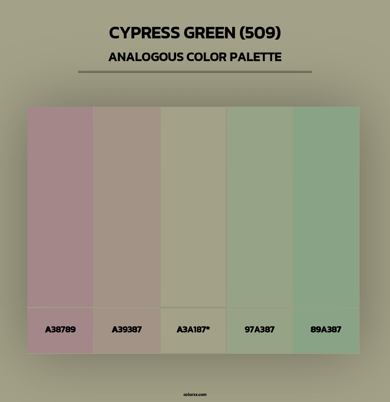 Cypress Green (509) - Analogous Color Palette