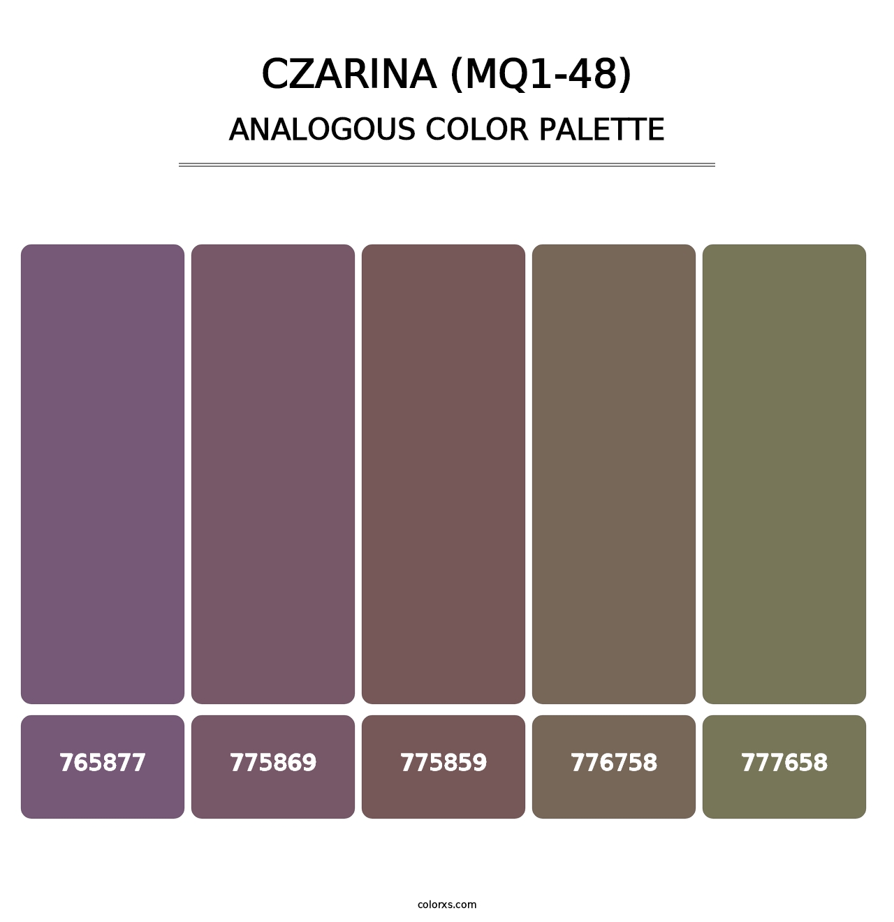 Czarina (MQ1-48) - Analogous Color Palette