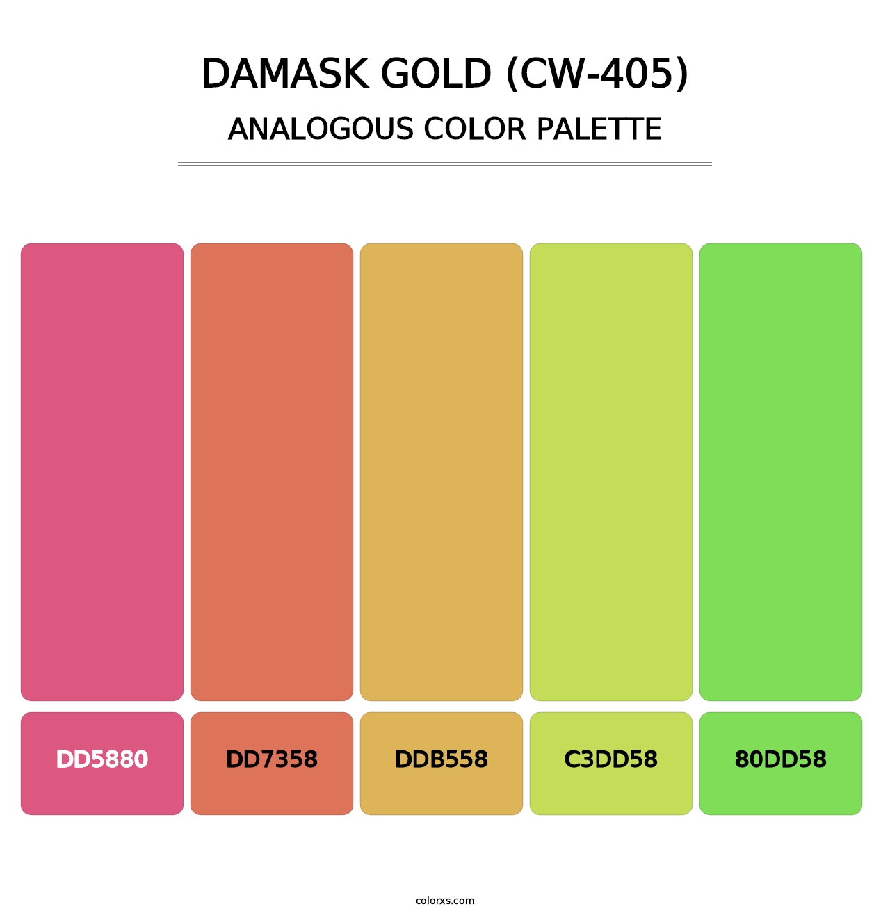 Damask Gold (CW-405) - Analogous Color Palette