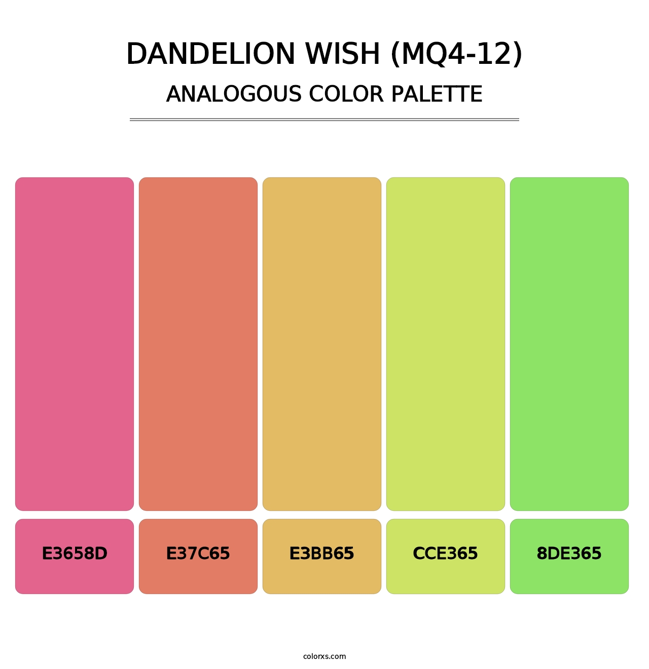 Dandelion Wish (MQ4-12) - Analogous Color Palette