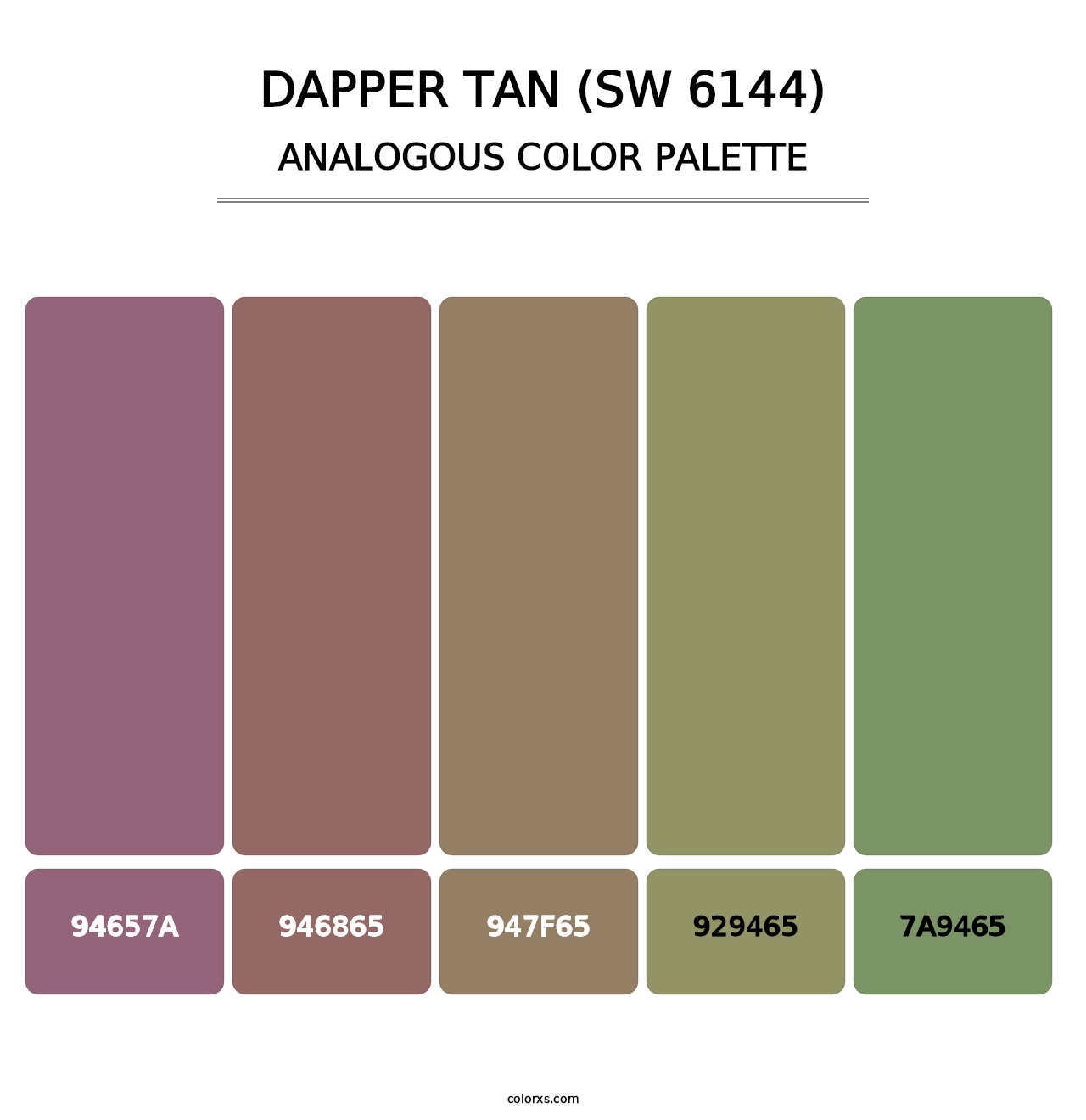 Dapper Tan (SW 6144) - Analogous Color Palette