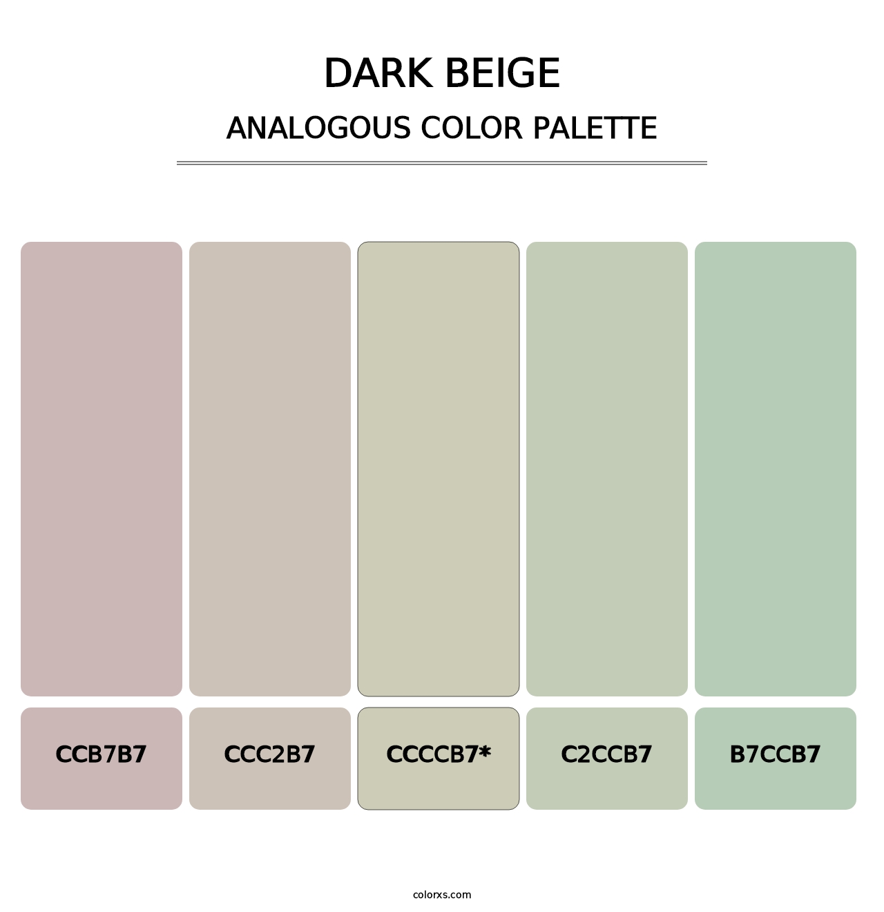 Dark Beige - Analogous Color Palette
