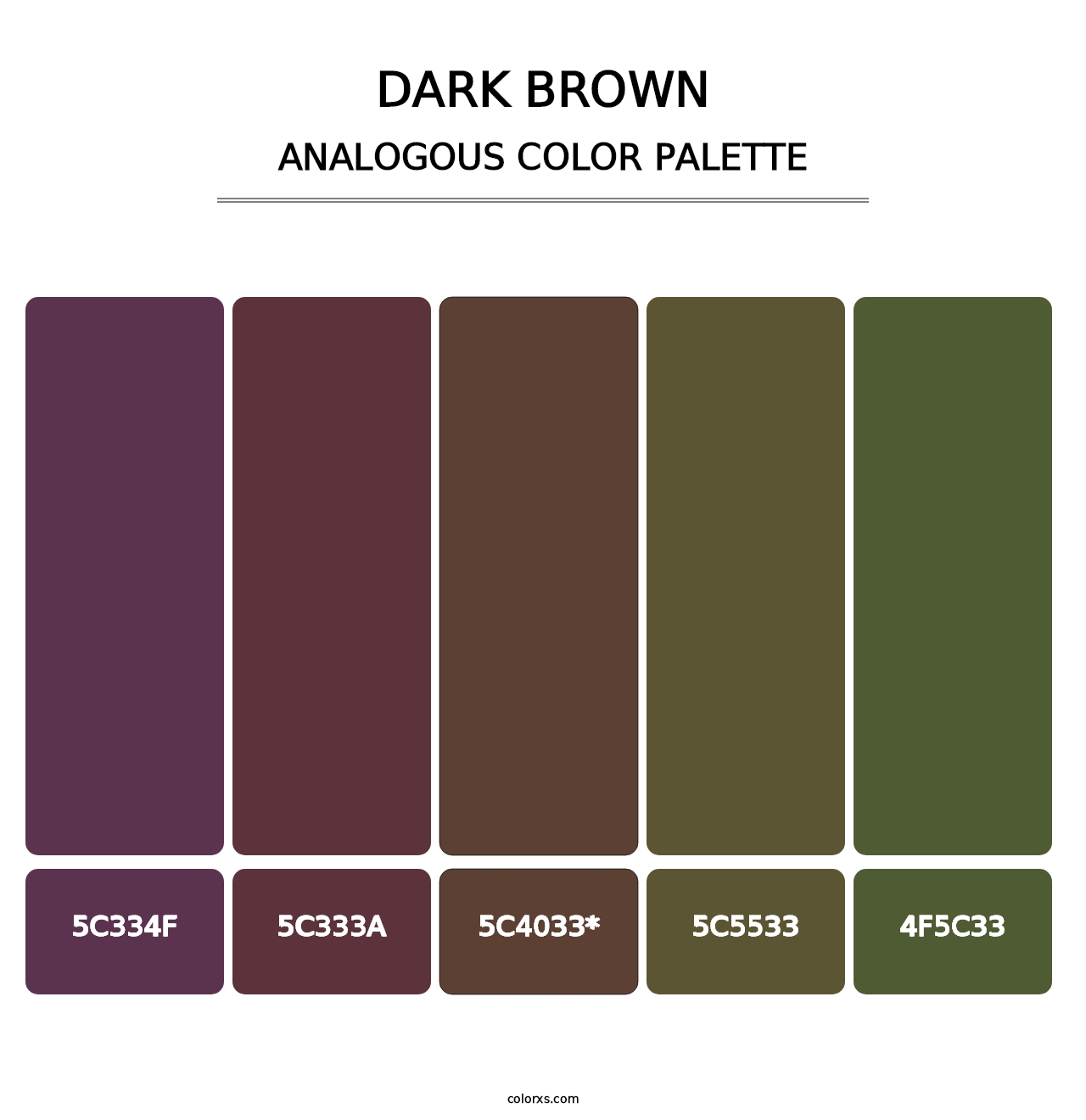 Dark Brown - Analogous Color Palette