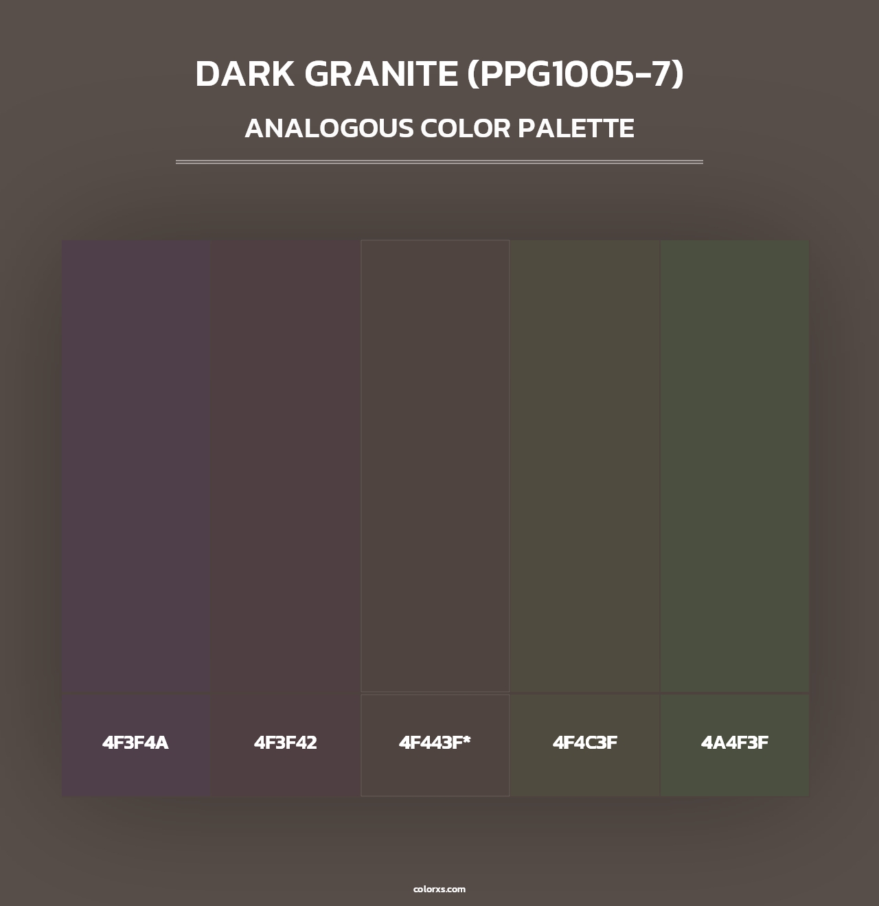 Dark Granite (PPG1005-7) - Analogous Color Palette