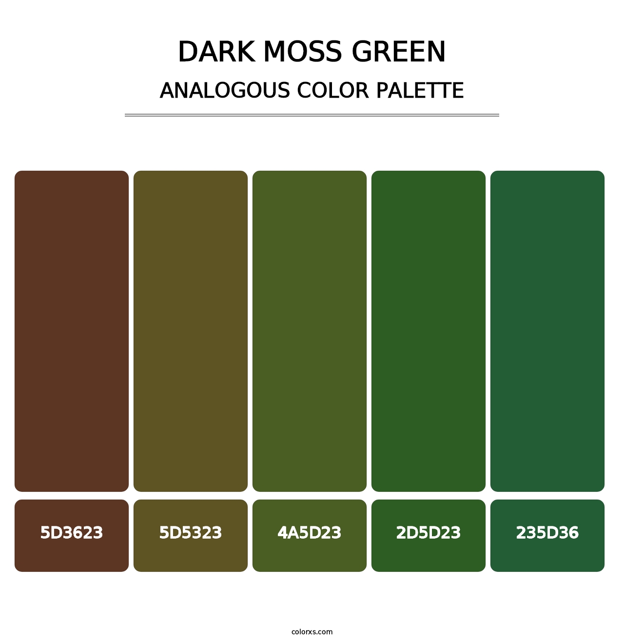 Dark Moss Green - Analogous Color Palette