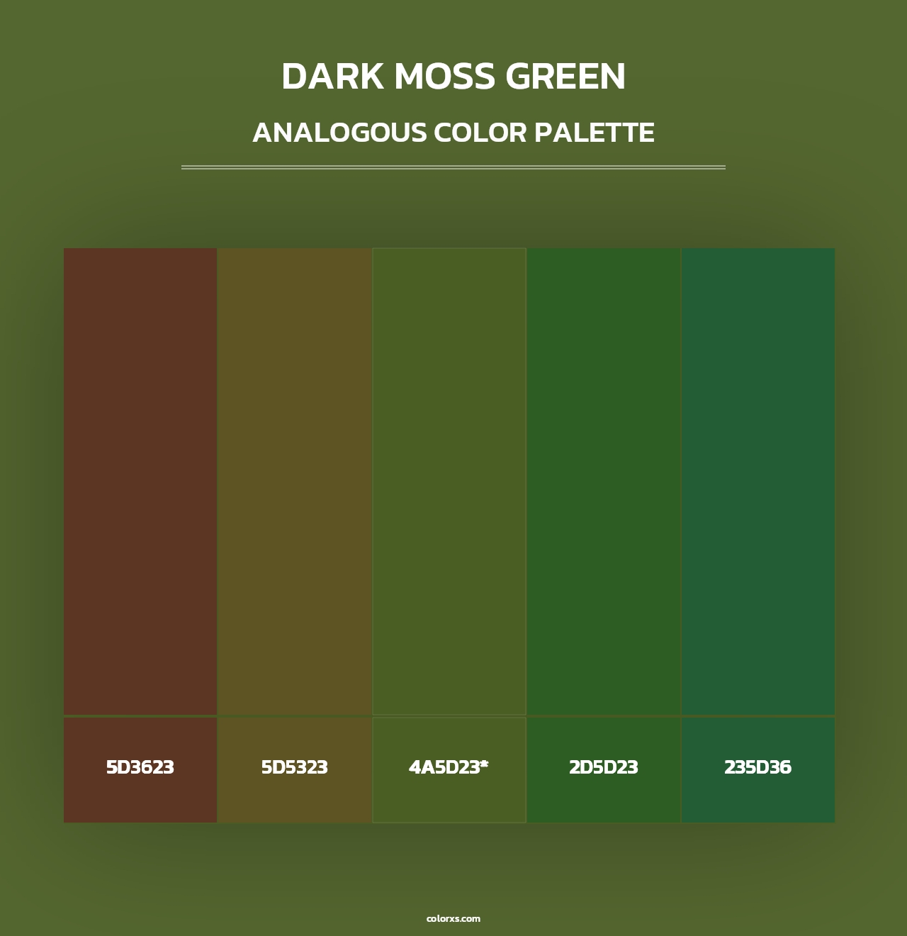 Dark Moss Green - Analogous Color Palette