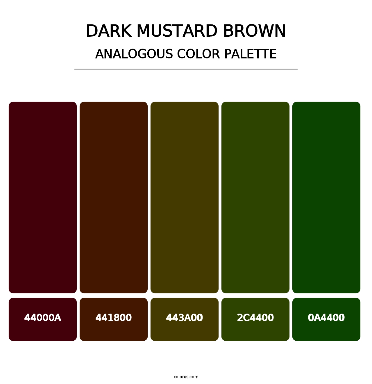 Dark Mustard Brown - Analogous Color Palette