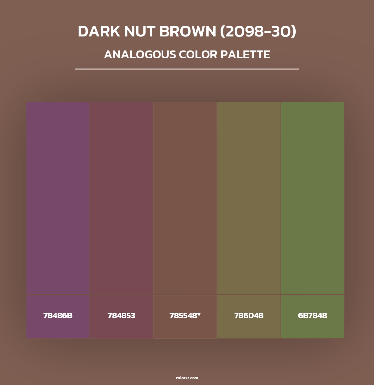 Dark Nut Brown (2098-30) - Analogous Color Palette