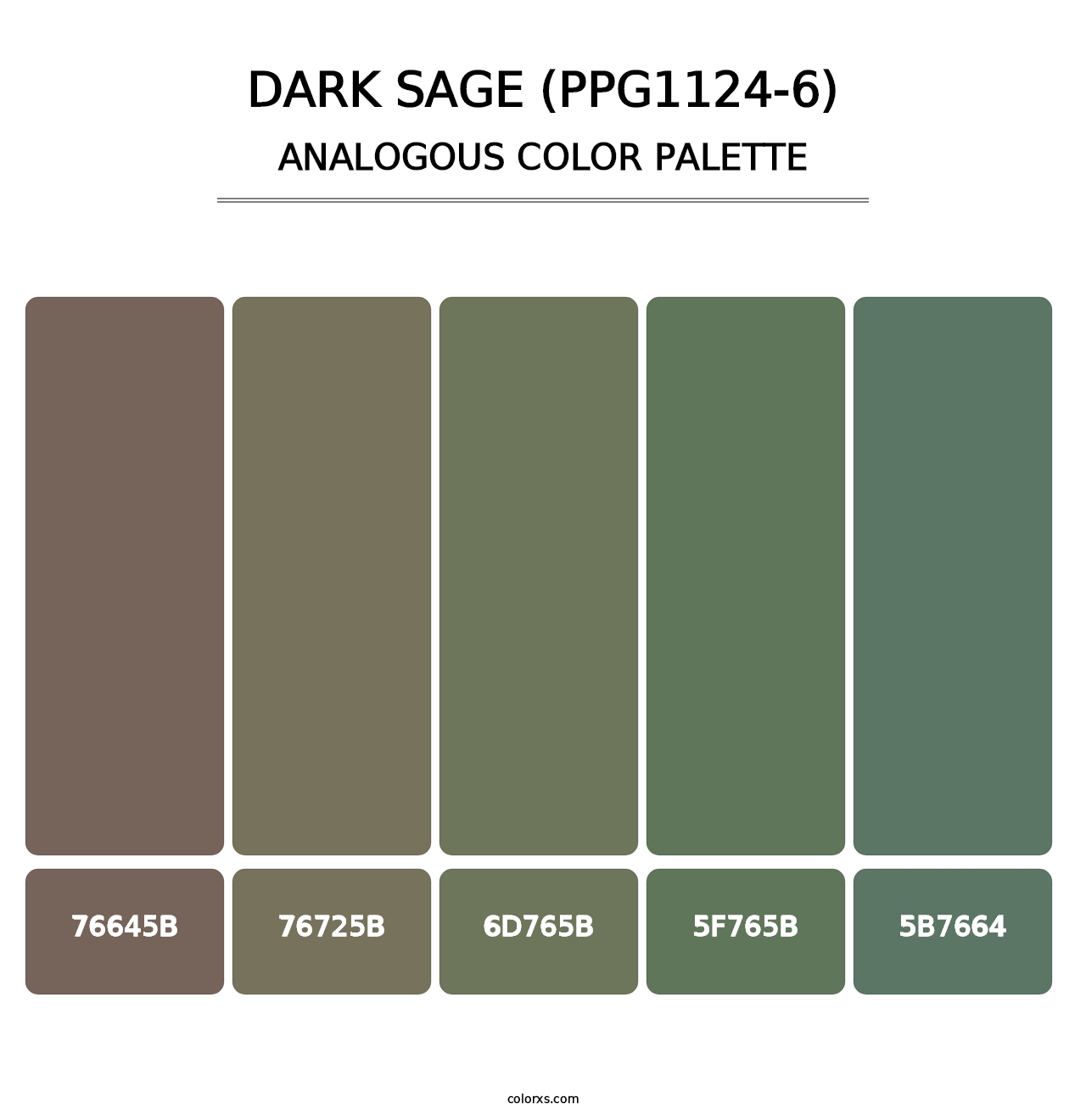 Dark Sage (PPG1124-6) - Analogous Color Palette
