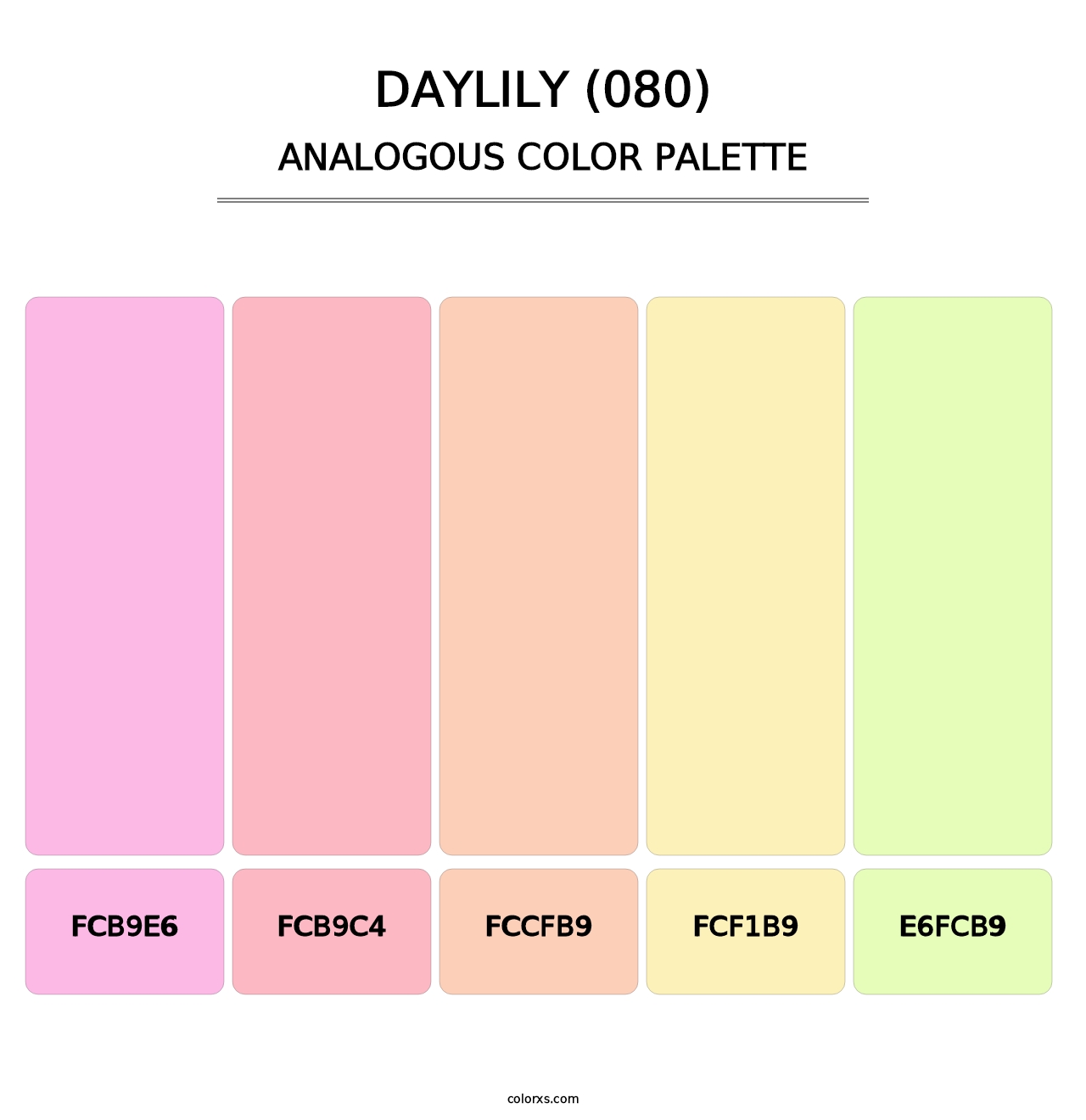 Daylily (080) - Analogous Color Palette