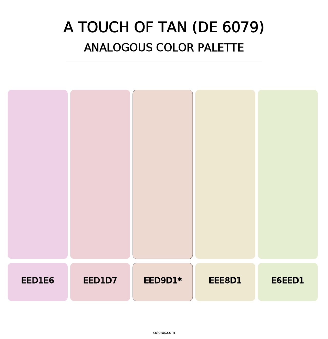 A Touch of Tan (DE 6079) - Analogous Color Palette