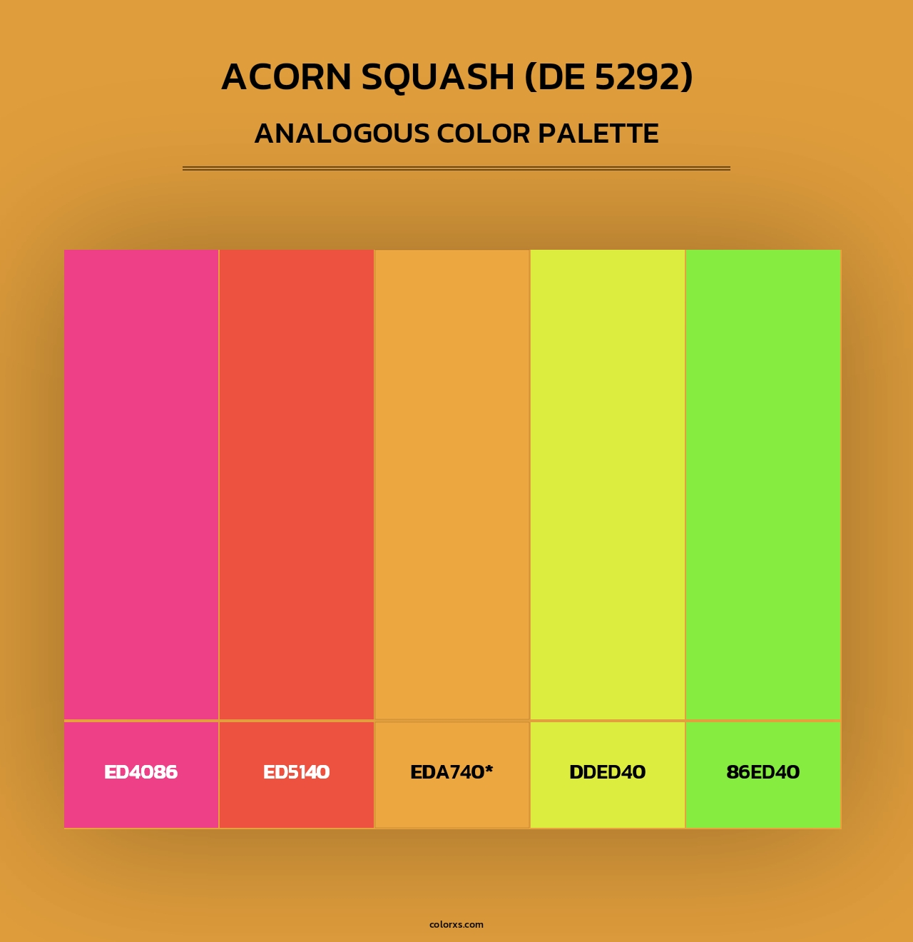 Acorn Squash (DE 5292) - Analogous Color Palette
