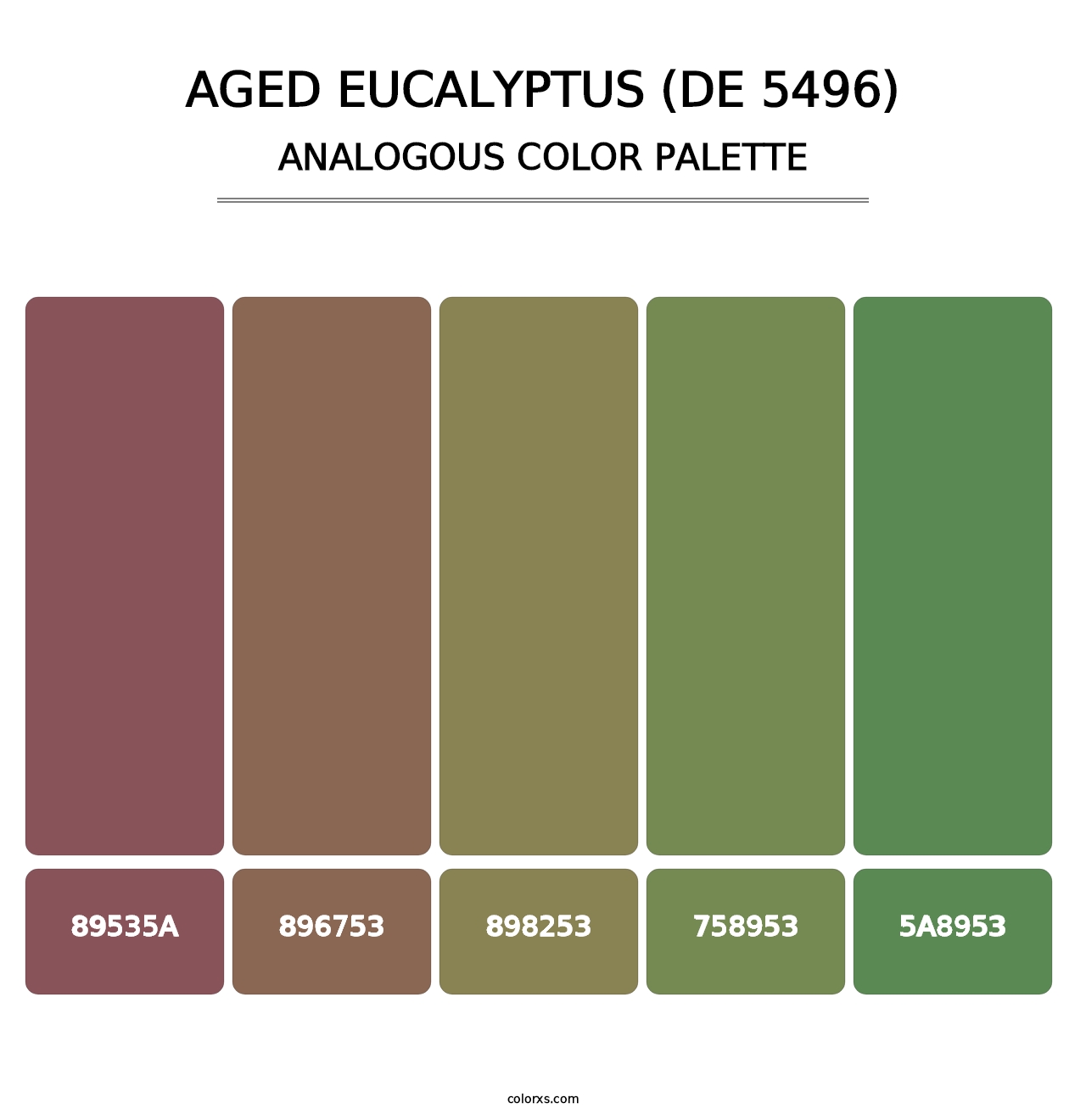 Aged Eucalyptus (DE 5496) - Analogous Color Palette
