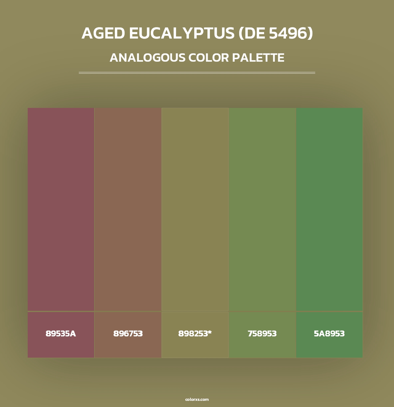 Aged Eucalyptus (DE 5496) - Analogous Color Palette