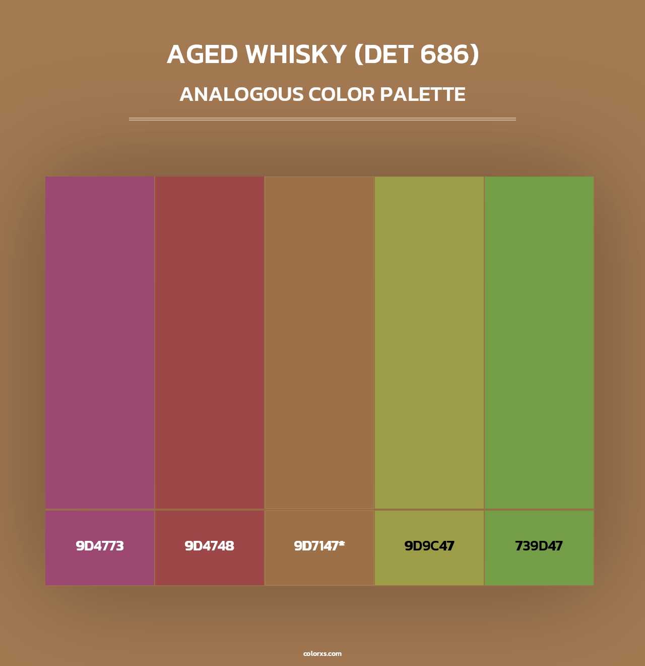 Aged Whisky (DET 686) - Analogous Color Palette
