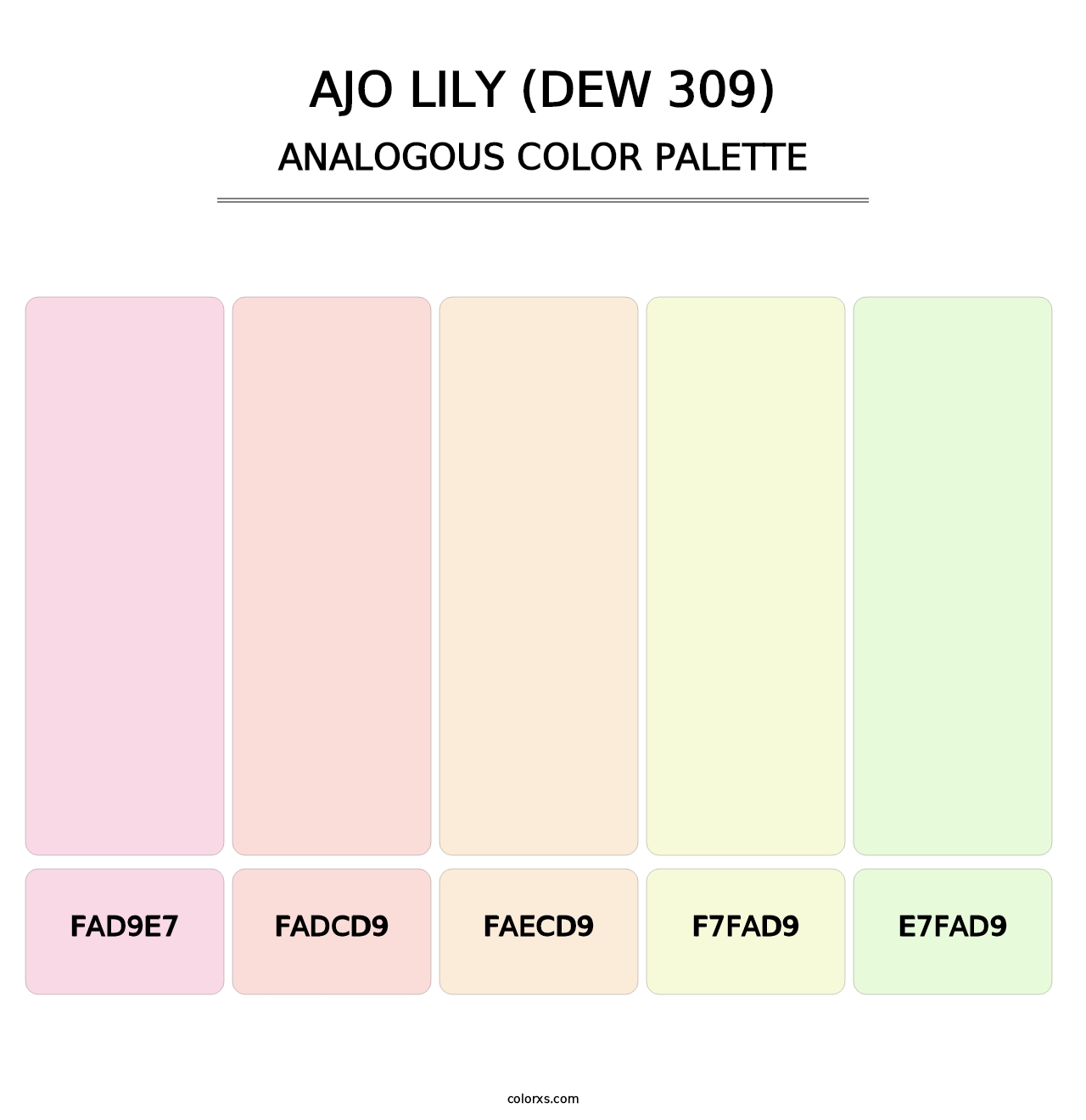 Ajo Lily (DEW 309) - Analogous Color Palette