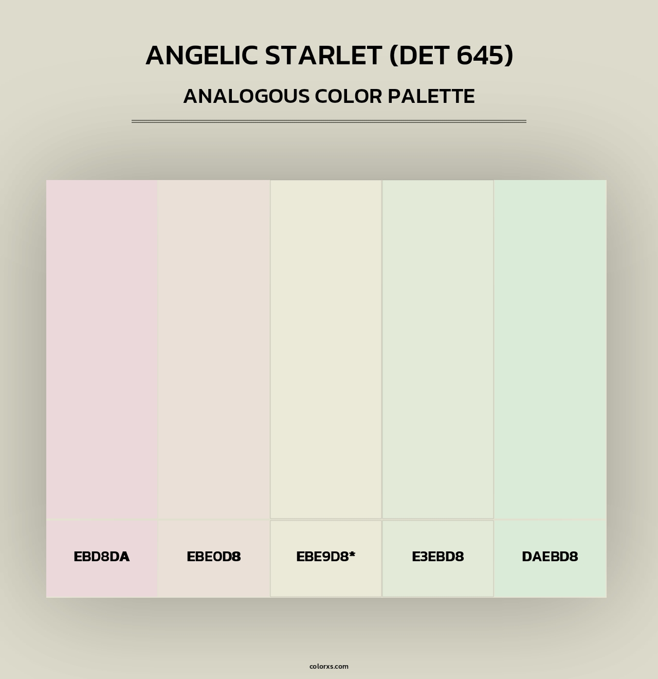 Angelic Starlet (DET 645) - Analogous Color Palette