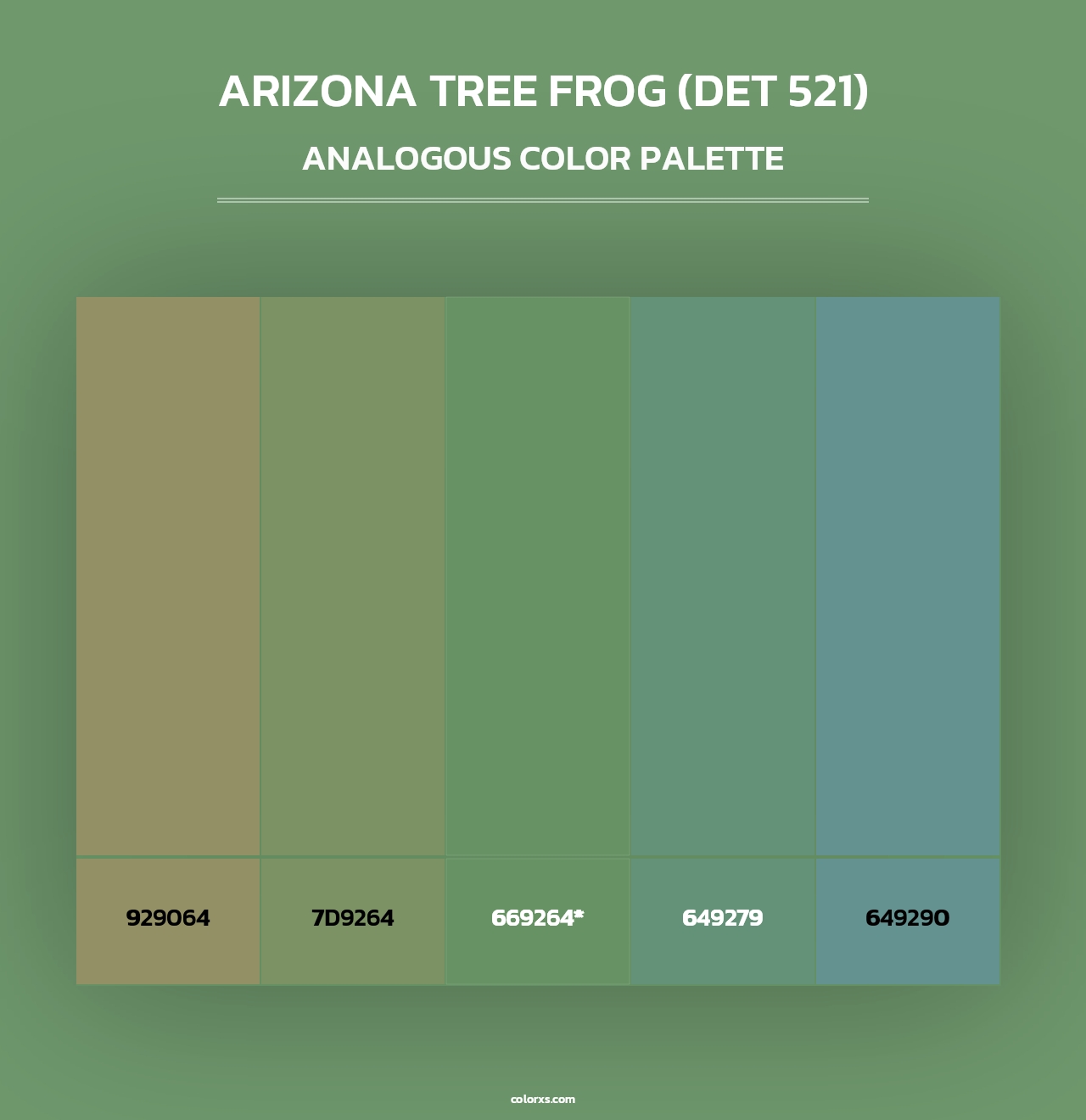 Arizona Tree Frog (DET 521) - Analogous Color Palette