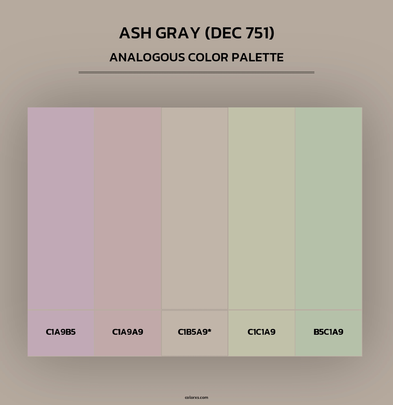 Ash Gray (DEC 751) - Analogous Color Palette
