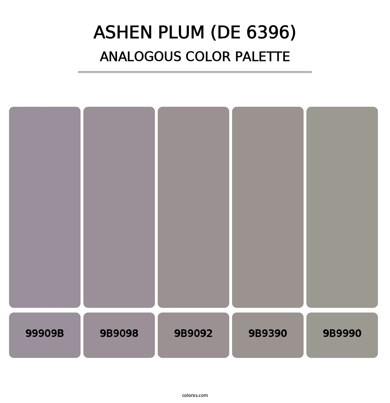 Ashen Plum (DE 6396) - Analogous Color Palette