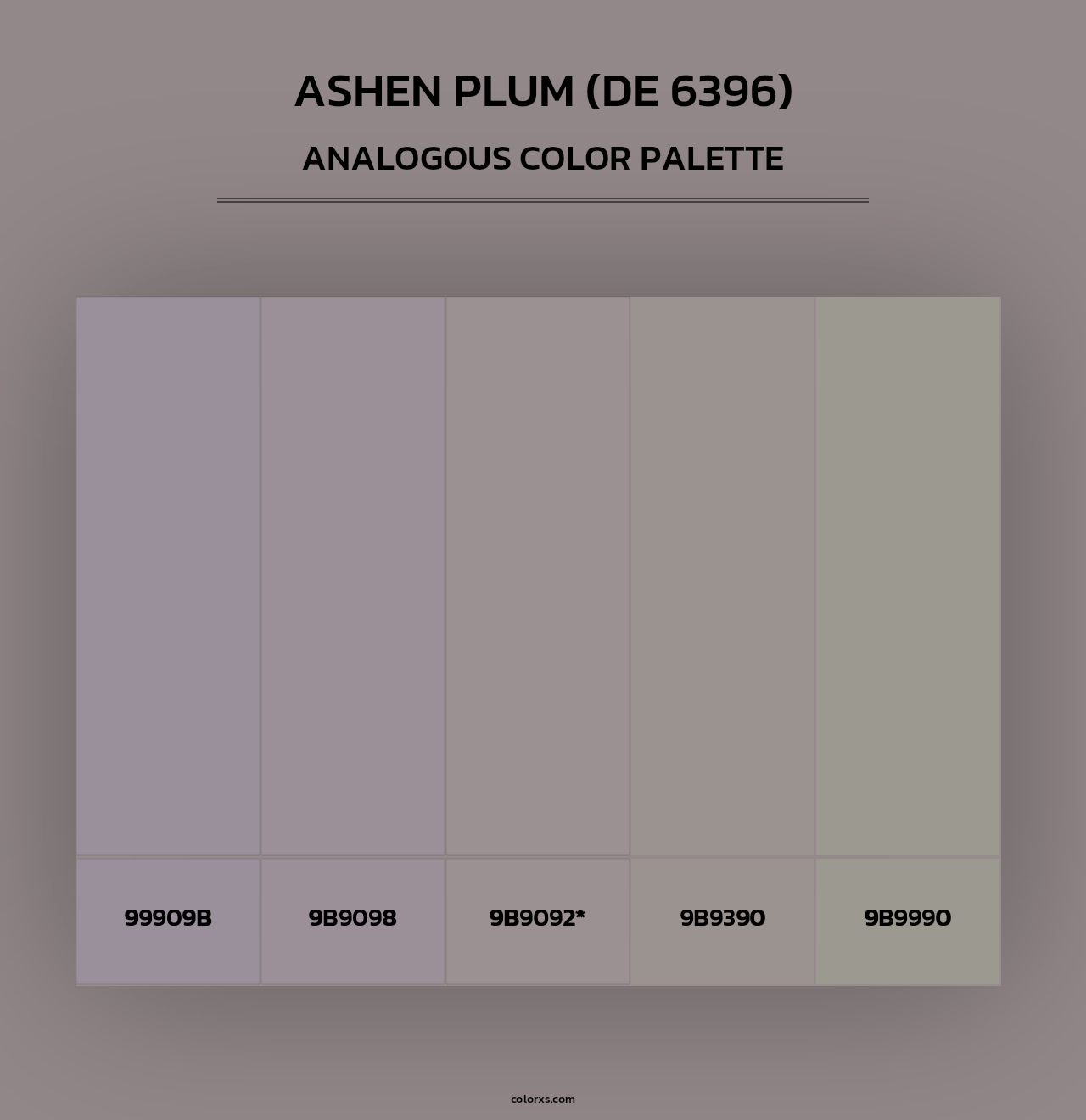 Ashen Plum (DE 6396) - Analogous Color Palette