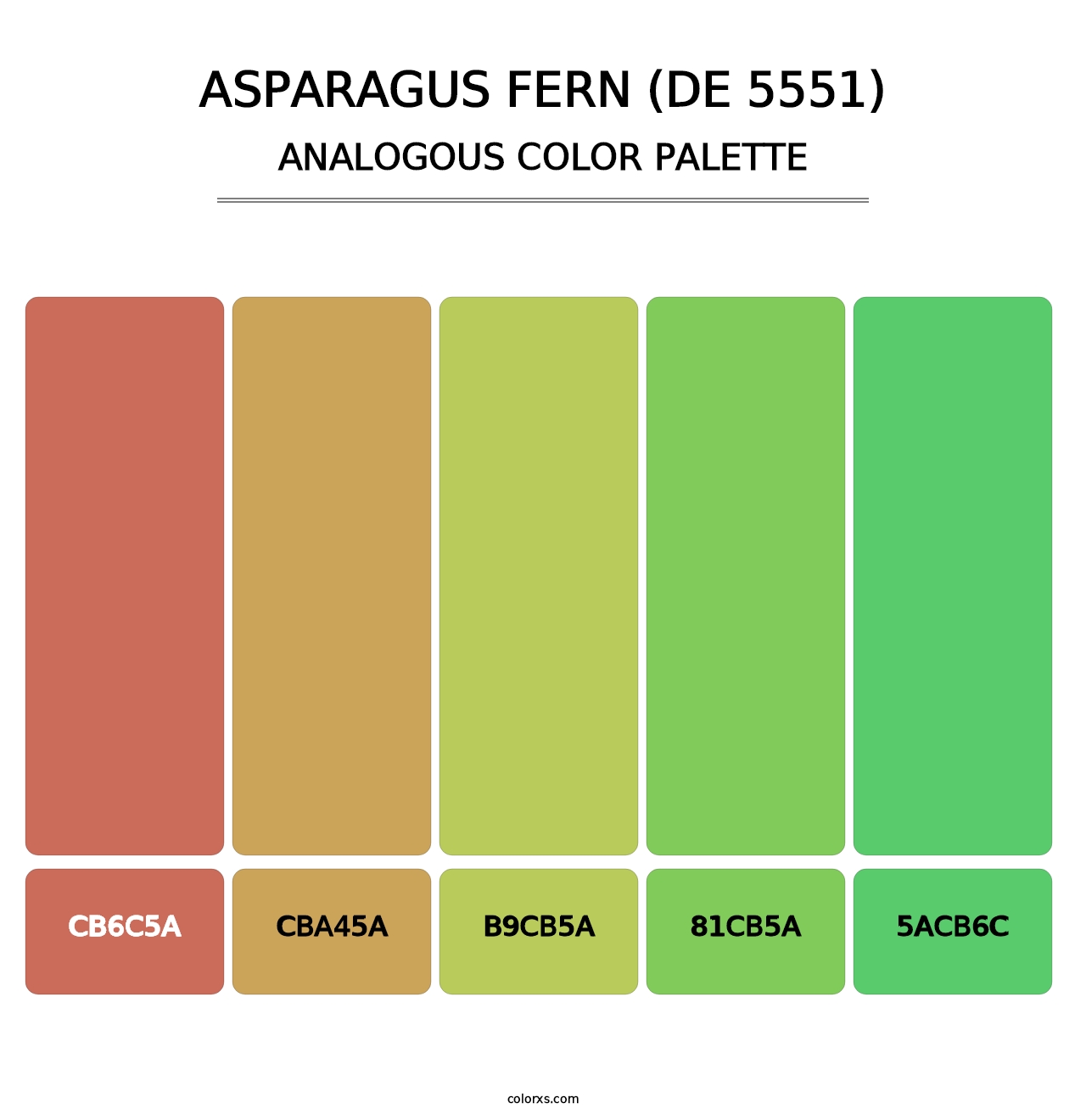 Asparagus Fern (DE 5551) - Analogous Color Palette