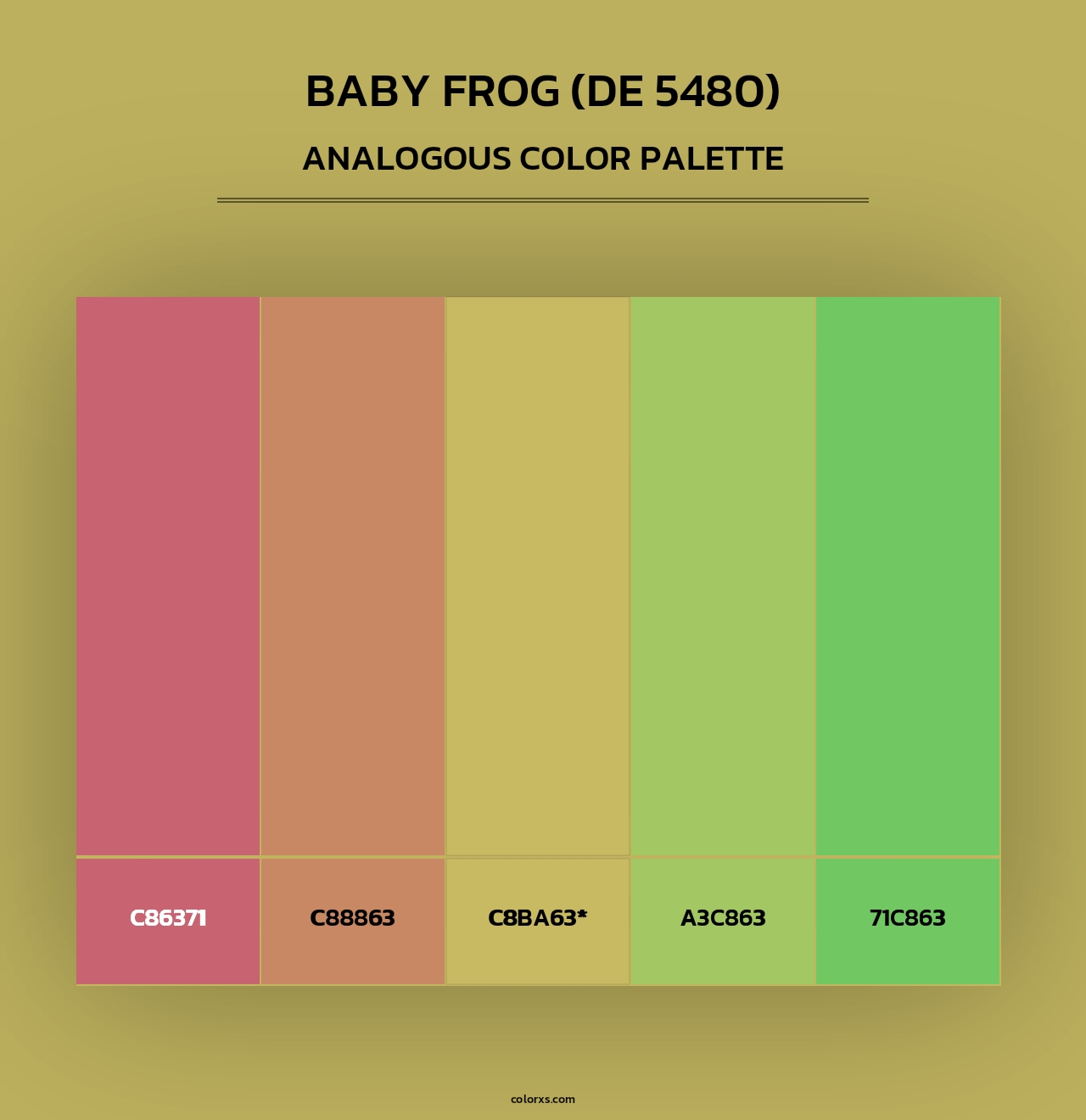 Baby Frog (DE 5480) - Analogous Color Palette