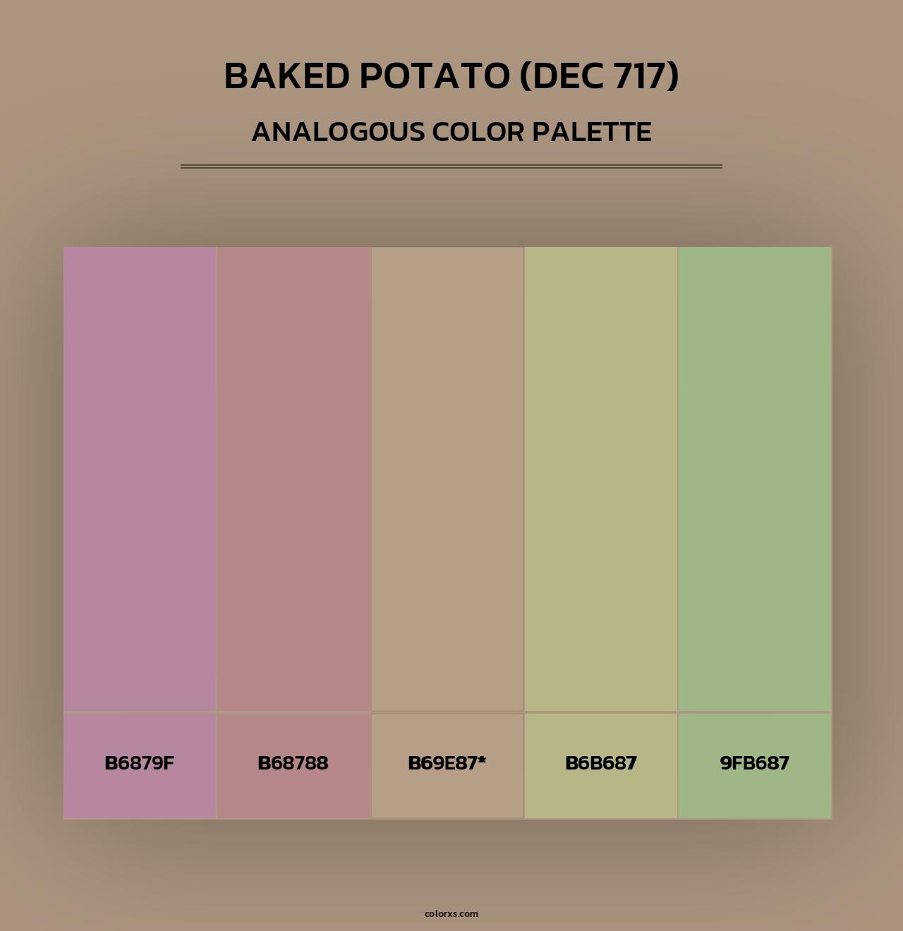 Baked Potato (DEC 717) - Analogous Color Palette