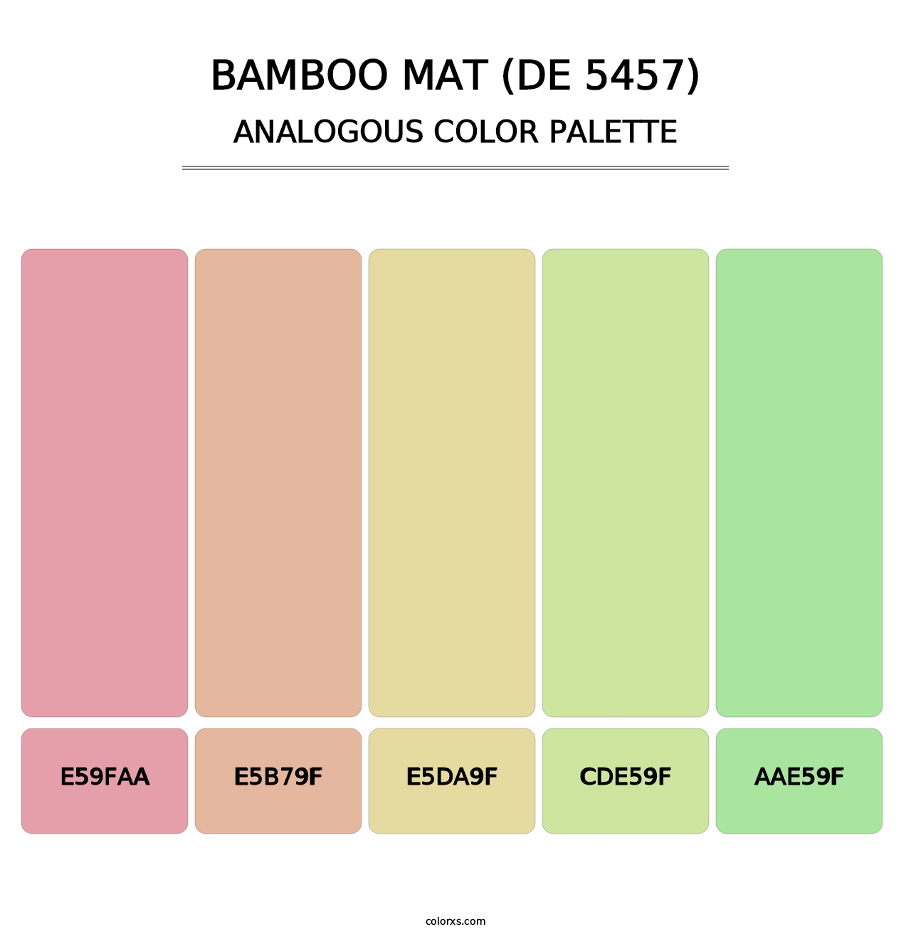 Bamboo Mat (DE 5457) - Analogous Color Palette