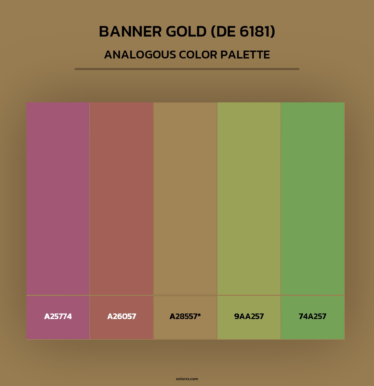 Banner Gold (DE 6181) - Analogous Color Palette
