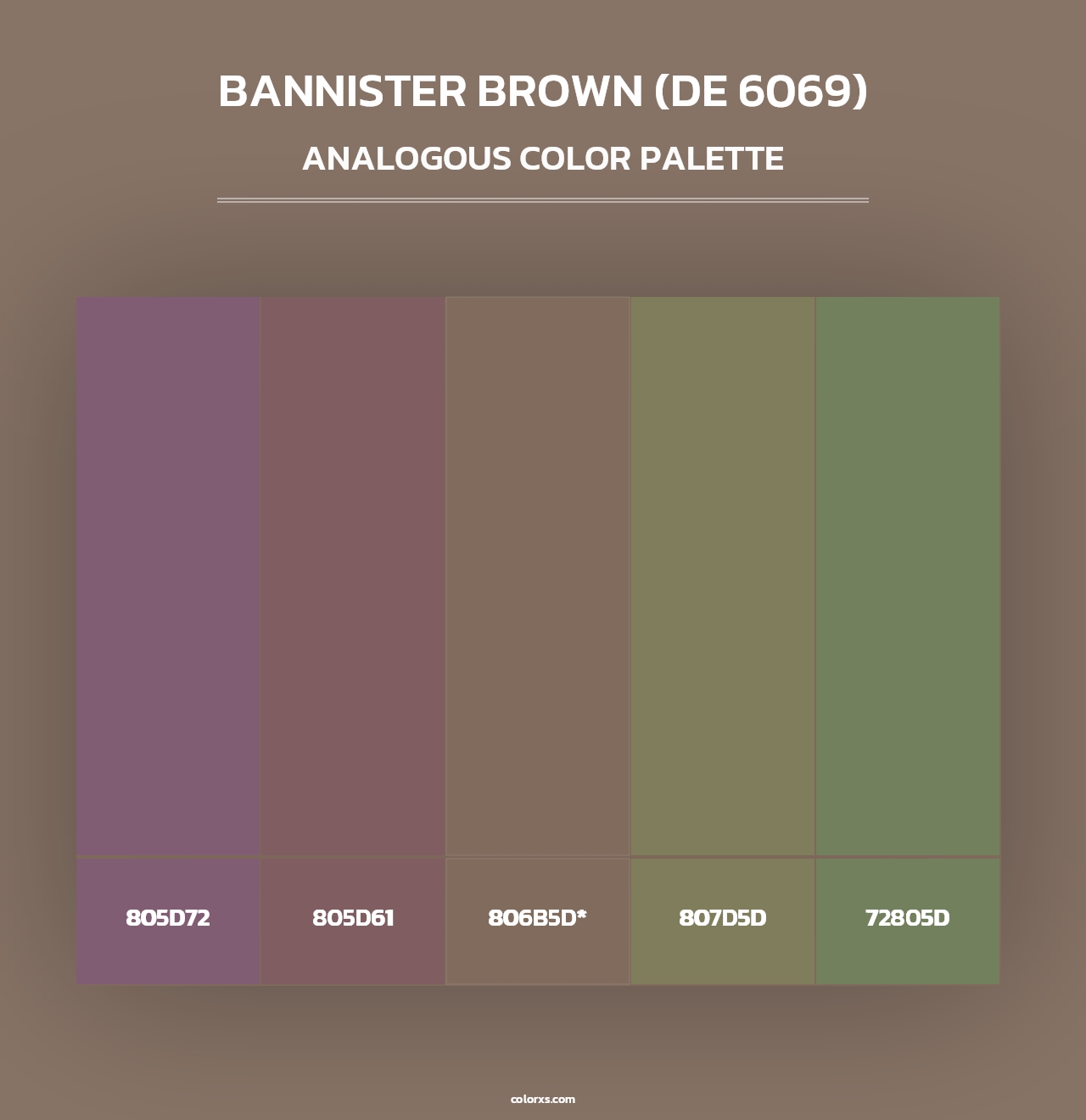 Bannister Brown (DE 6069) - Analogous Color Palette