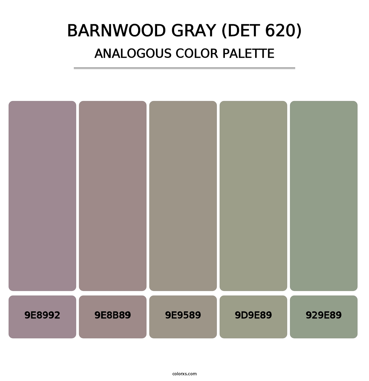 Barnwood Gray (DET 620) - Analogous Color Palette