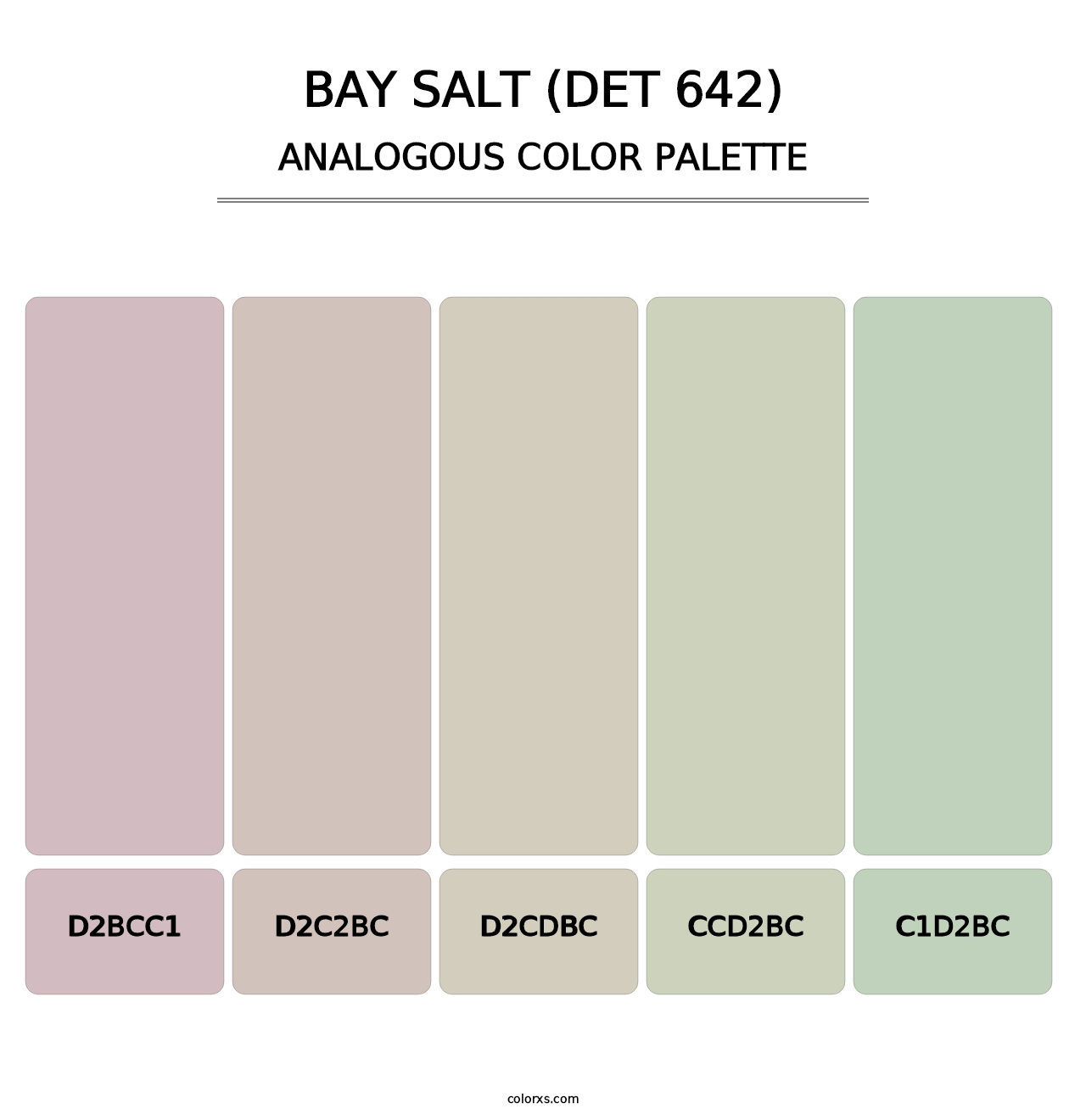 Bay Salt (DET 642) - Analogous Color Palette