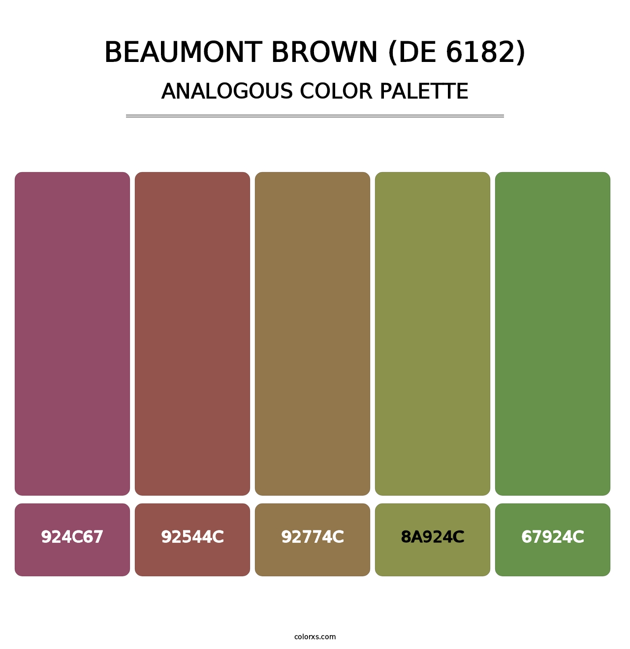 Beaumont Brown (DE 6182) - Analogous Color Palette