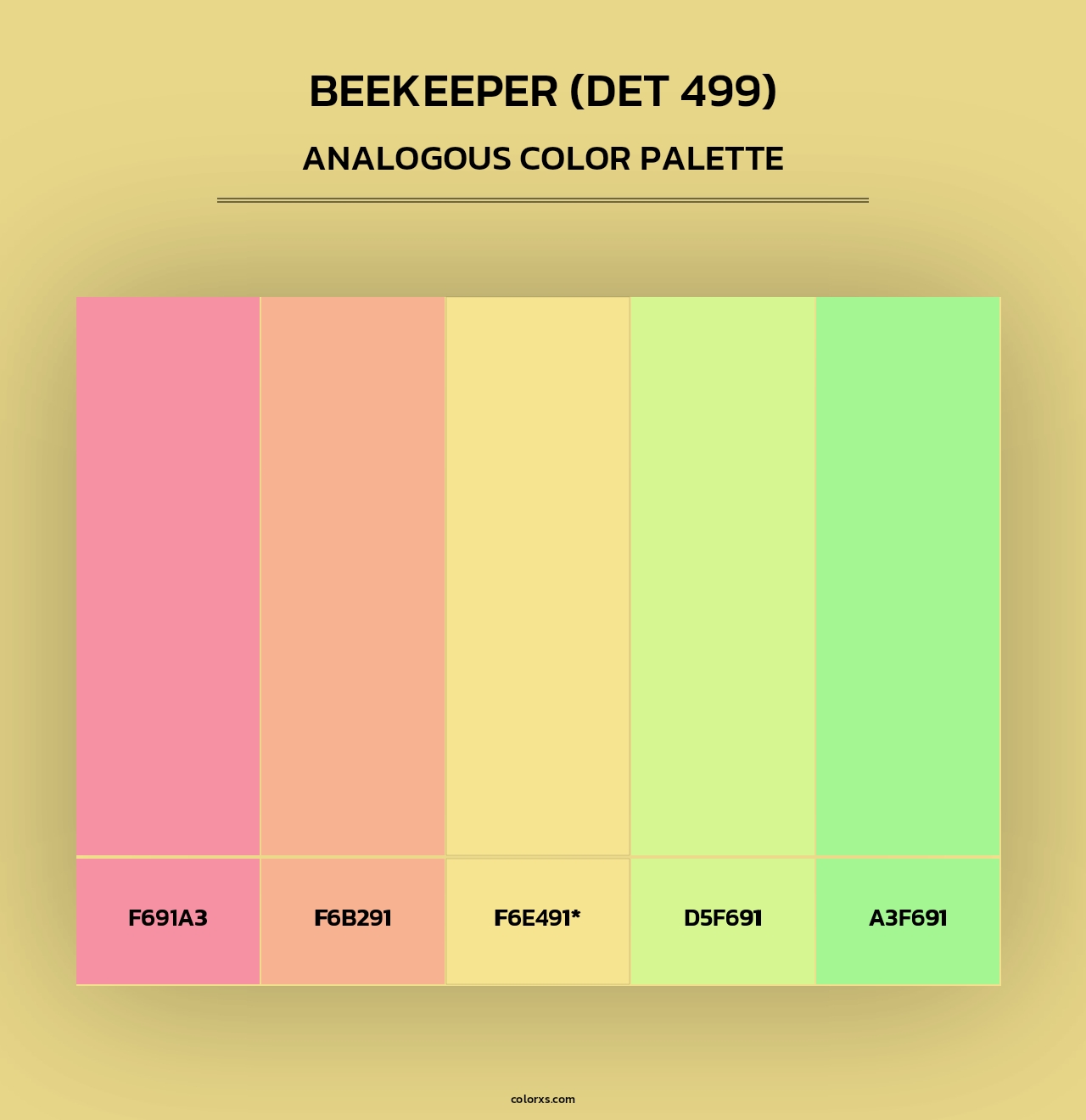 Beekeeper (DET 499) - Analogous Color Palette