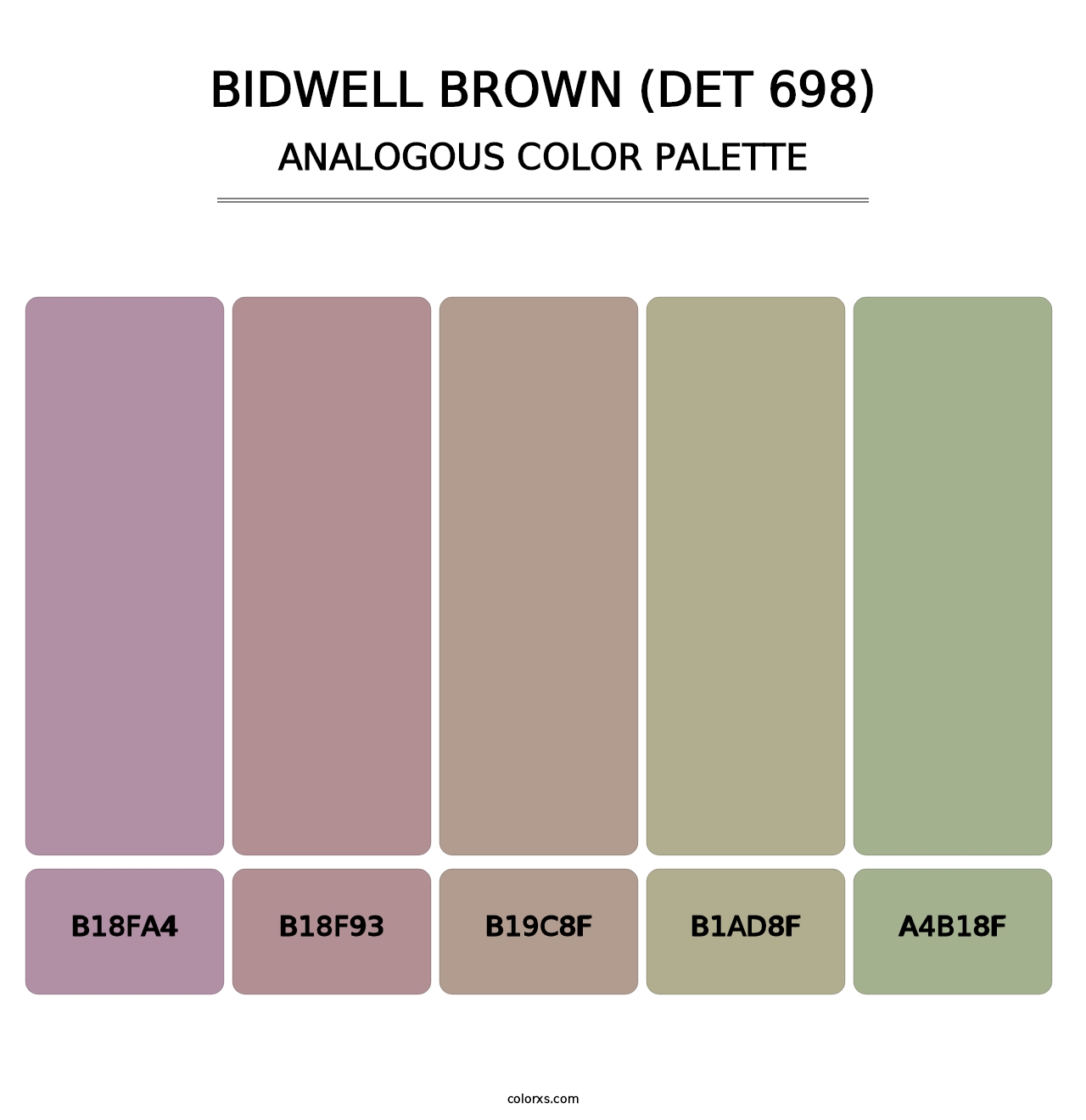Bidwell Brown (DET 698) - Analogous Color Palette