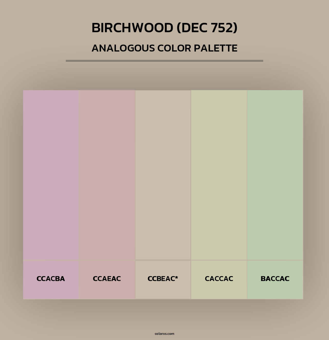 Birchwood (DEC 752) - Analogous Color Palette