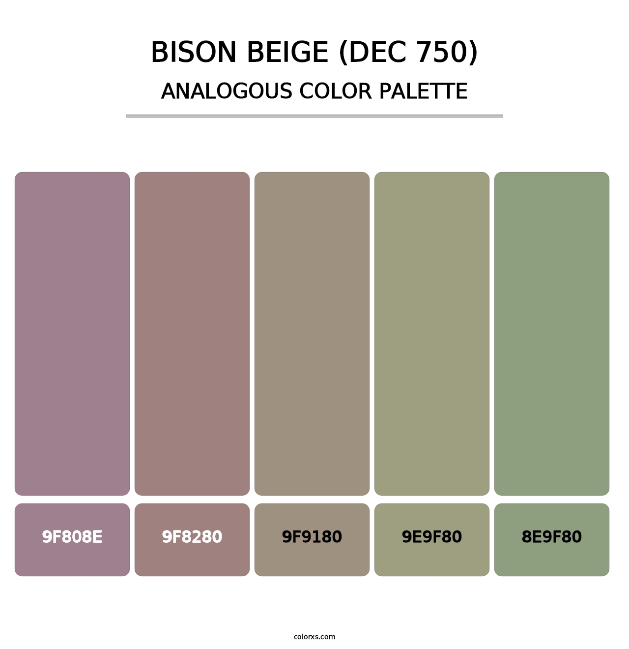 Bison Beige (DEC 750) - Analogous Color Palette